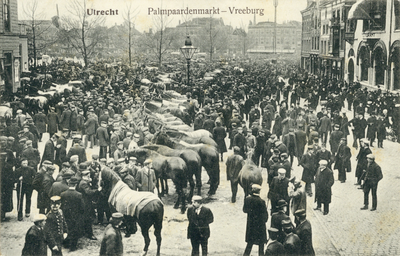 2655 Gezicht op het Vredenburg te Utrecht tijdens de Palmpaardenmarkt.